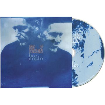 ED O'BRIEN - BLUE MORPHO