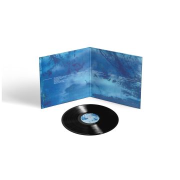 ED O'BRIEN - BLUE MORPHO