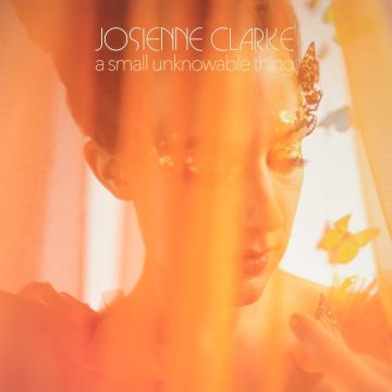 JOSIENNE CLARKE - SMALL UNKNOWABLE THING