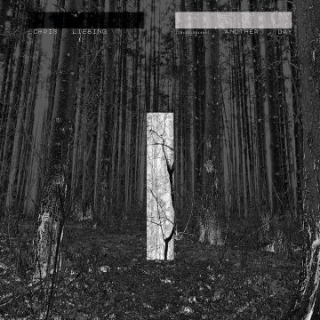 CHRIS LIEBING - ANOTHER DAY