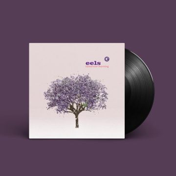 EELS - TOMORROW MORNING