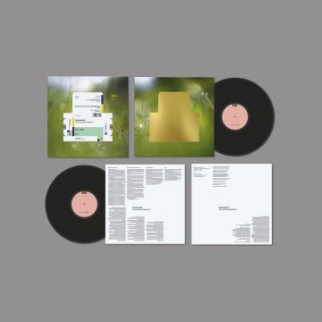 SPIRITUALIZED - EVERYTHING WAS BEAUTIFUL