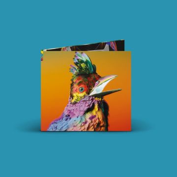 FLUME - PALACES