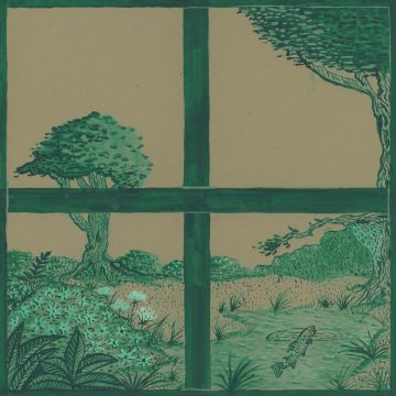 DAVID; DIRTY PROJECTORS; STARGAZE LONGSTRETH - SONG OF THE EARTH