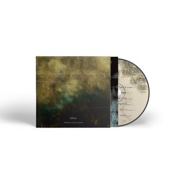 EDITORS - SURFACE / ECHO & SOUND