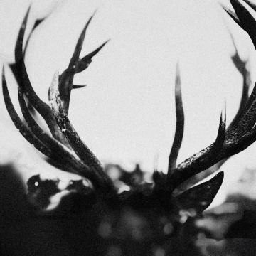 IHSAHN - IHSAHN