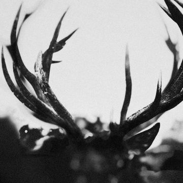 IHSAHN - IHSAHN (2LP/COLOURED VINYL)