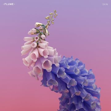 FLUME - SKIN