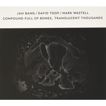 JAN; DAVID TOOP; MARK WASTELL BANG - COMPOUND FULL OF BONES, TRANSLUCENT THOUSANDS