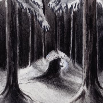 HAVUKRUUNU - HAVULINNAAN