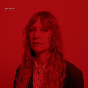 HEDVIG MOLLESTAD TRIO - BEES IN THE BONNET