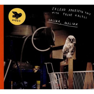 ERLEND APNESETH TRIO & FRODE HALTLI - SALIKA, MOLIKA