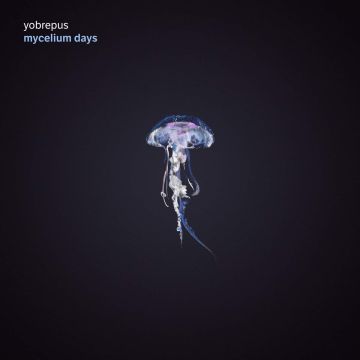 YOBREPUS - MYCELIUM DAYS