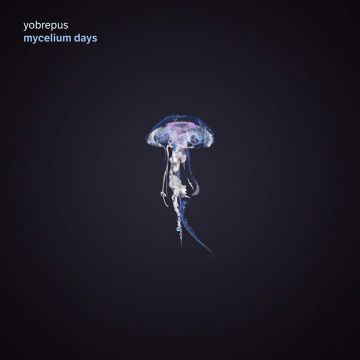 YOBREPUS - MYCELIUM DAYS