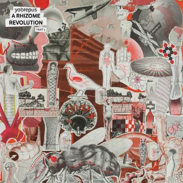 YOBREPUS - RHIZOME REVOLUTION PART 1