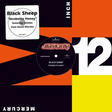 BLACK SHEEP - STROBELITE
