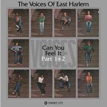 Voices Of East Harlem, The - Can You Feel It