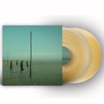 DEVILS WITCH - IN ALL HER FORMS (GOLD & CLEAR MARBLED VINYL)
