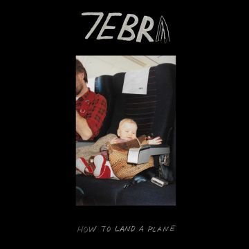 7EBRA - HOW TO LAND A PLANE