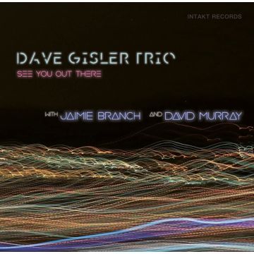 DAVE GISLER TRIO W. JAIMIE BRANCH & DAVID MURRAY - SEE YOU OUT THERE