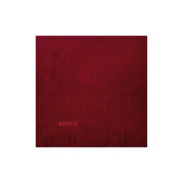 AMBIQ - AMBIQ