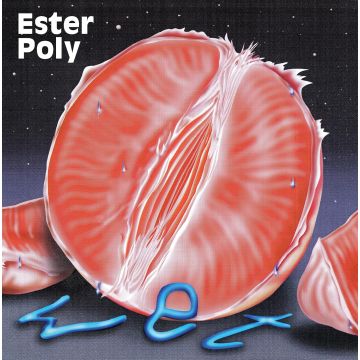 ESTER POLY - WET
