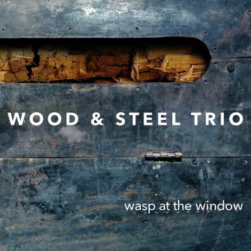 WOOD & STEEL TRIO - WASP AT THE WINDOW