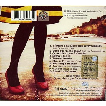 FLO - D' AMORE E DI ALTRE COSE IRREVERSIBILI