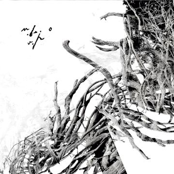 NEGURA BUNGET - VIRSTELE PAMINTULUI