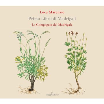 COMPAGNIA DEL MADRIGALE - MARENZIO: PRIMO LIBRO DI MADRIGALI