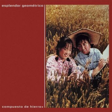 ESPLENDOR GEOMETRICO - COMPUESTO DE HIERRO