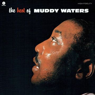 MUDDY WATERS - BEST OF (180G/DMM)