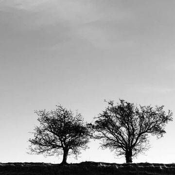 JON ALLEN - HEIGHTENED SENSE OF EVERYTHING