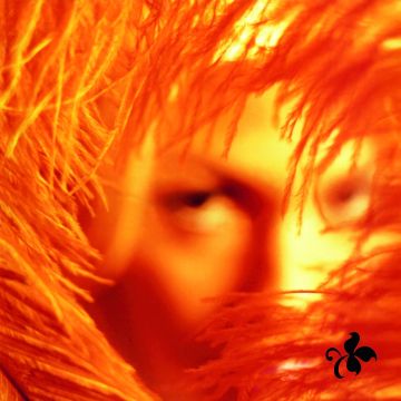 STONE TEMPLE PILOTS - SHANGRI-LA DEE DA (180G)