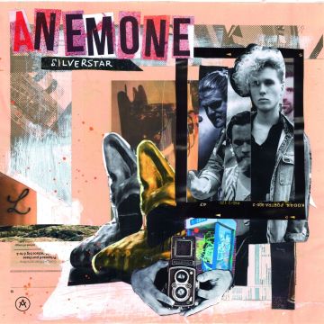 Anemone - Silver Star