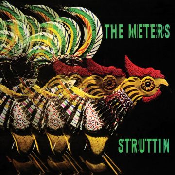 METERS - STRUTTIN