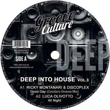 VARIOUS ARTISTS - DEEP INTO HOUSE VOL. 3