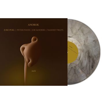JURE PUKL - MELT (MARBLE VINYL)