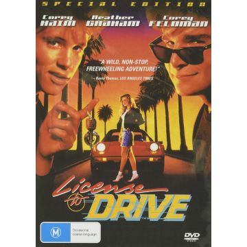 LICENSE TO DRIVE